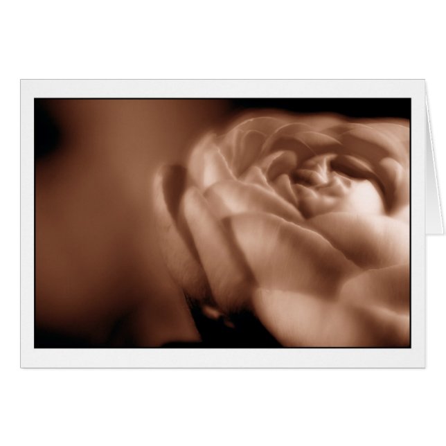 Begonia 2 de la sepia (Anverso (Horizontal))