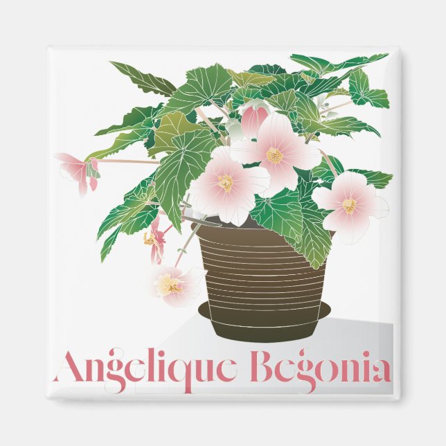 Begonia Imán (Frente)