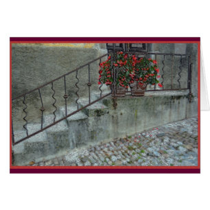 Begonias en el stoop del hogar en el olLjubljana,