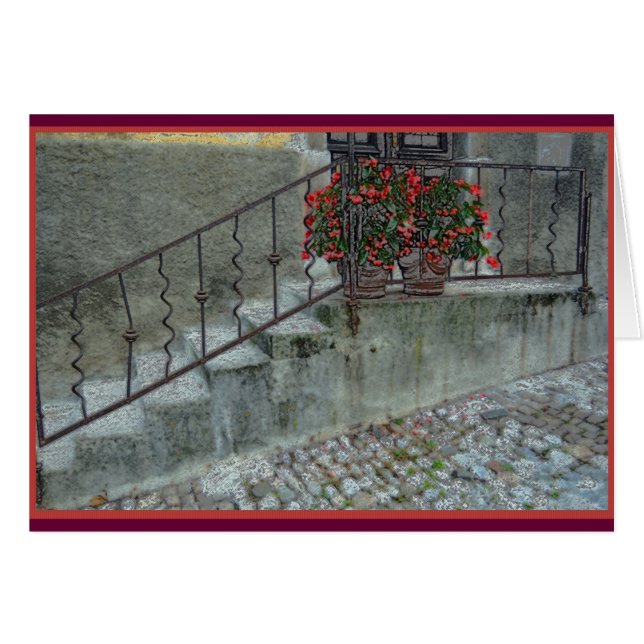 Begonias en el stoop del hogar en el olLjubljana, (Anverso (Horizontal))