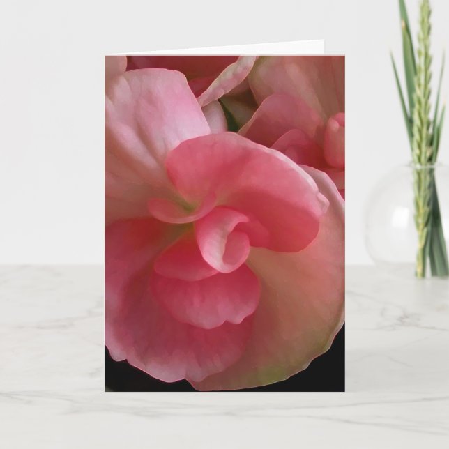 Begonias rosadas, tarjeta de saludo de pintura dig (Anverso)
