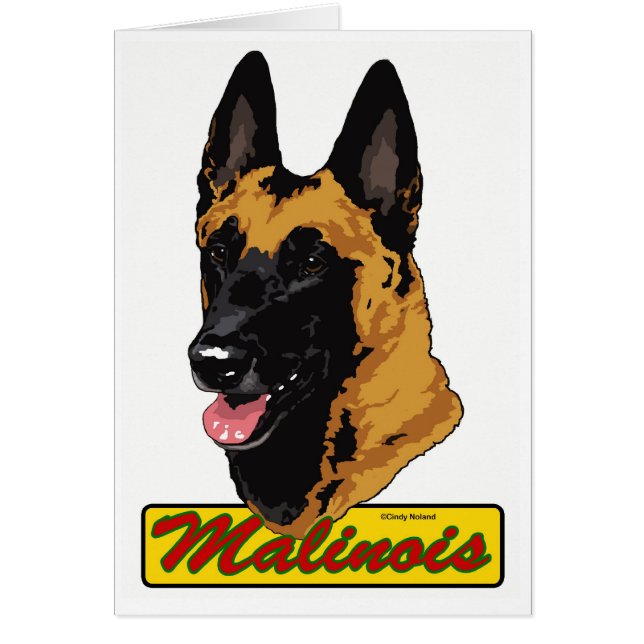 Belga Malinois (Frente)