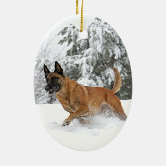 Belga Malinois en el ornamento 2 de la nieve (Atrás)