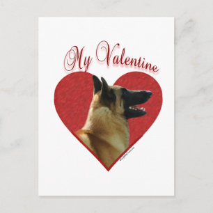 Belga Malinois mi tarjeta del día de San Valentín
