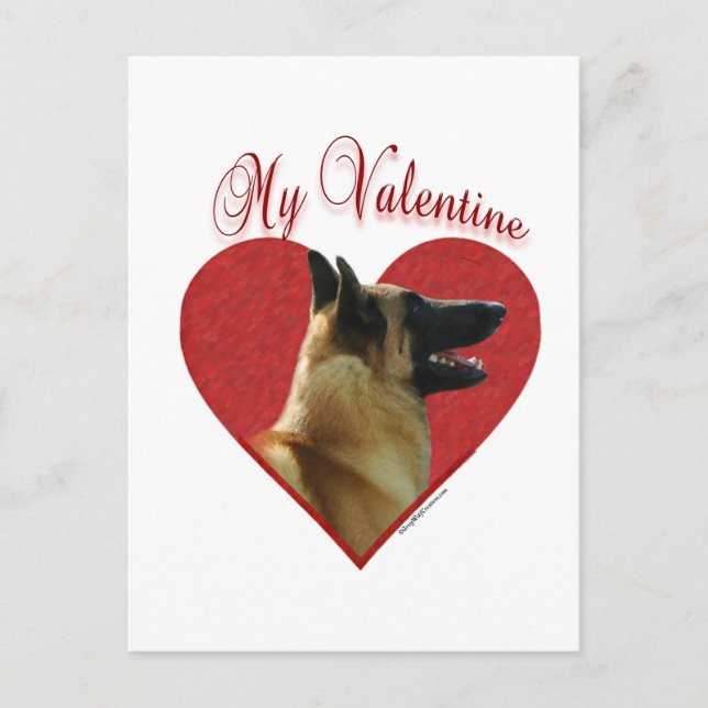 Belga Malinois mi tarjeta del día de San Valentín (Anverso)