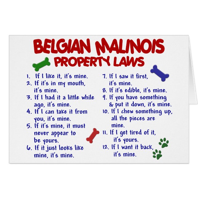 BELGA MALINOIS PL2 (Anverso (Horizontal))