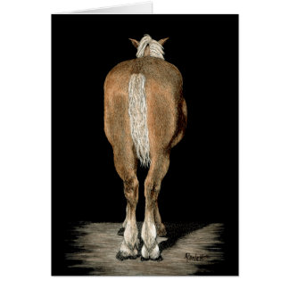 "Belga regresó" - Tarjeta de caballo de reclutamie