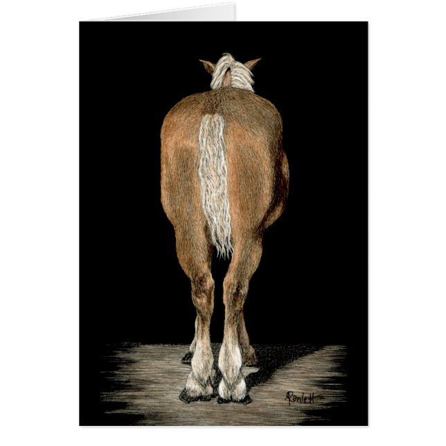 "Belga regresó" - Tarjeta de caballo de reclutamie (Frente)