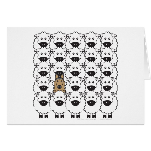 Belga Tervuren en las ovejas (Anverso (Horizontal))