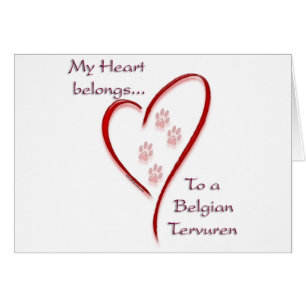 Belga Tervuren Heart Pertenece