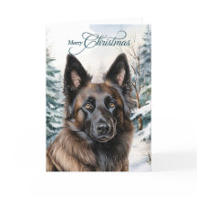 Belga Tervuren Woodland Forest Feliz Navidad