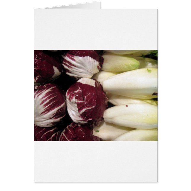 Bélgica Endigo (Frente)