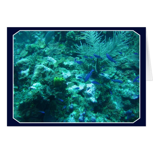 Belice (Anverso (Horizontal))