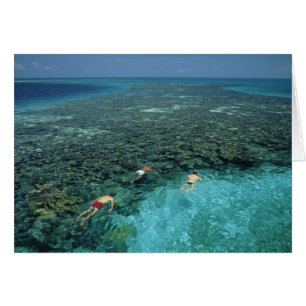 Belice, Arrecife de la Barrera, Lighthouse Reef, A