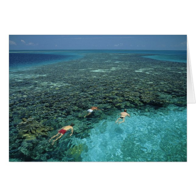 Belice, Arrecife de la Barrera, Lighthouse Reef, A (Anverso (Horizontal))