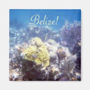¡Belice! Imán del arrecife de coral