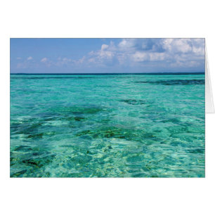 Belice, Stann Creek, Cayo Southwater