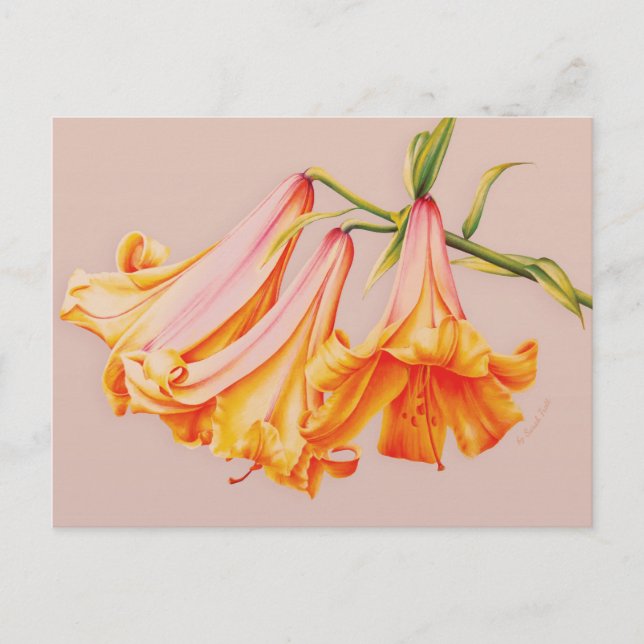 Bell lilies arte fino de la postal de Sarah Trett (Anverso)