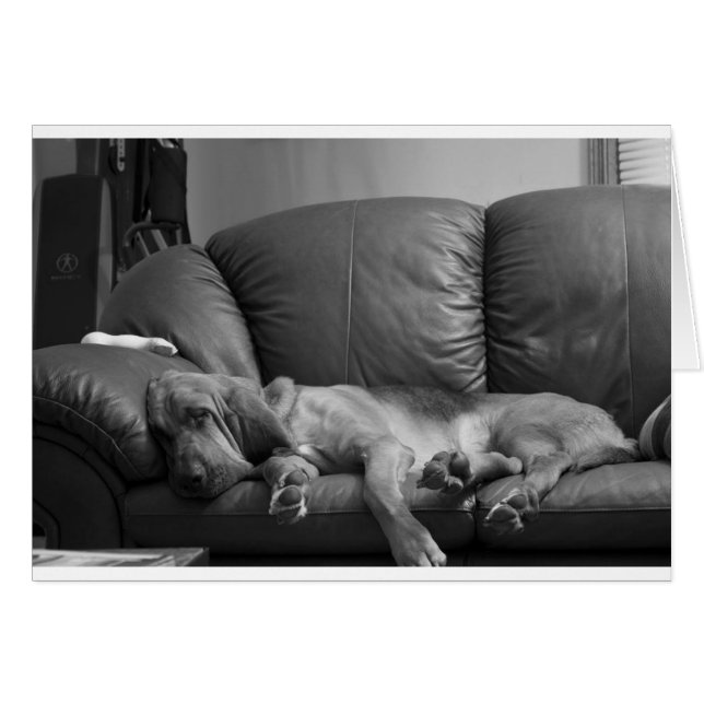 Bella (Anverso (Horizontal))