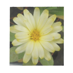 Bella Bloc de notas amarillo marino