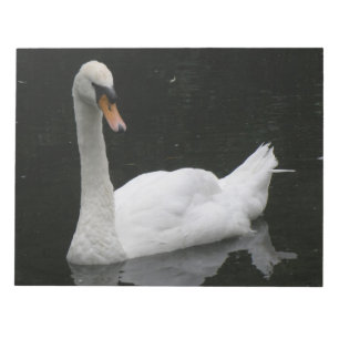 Bella Bloc de notas de cisne blanco