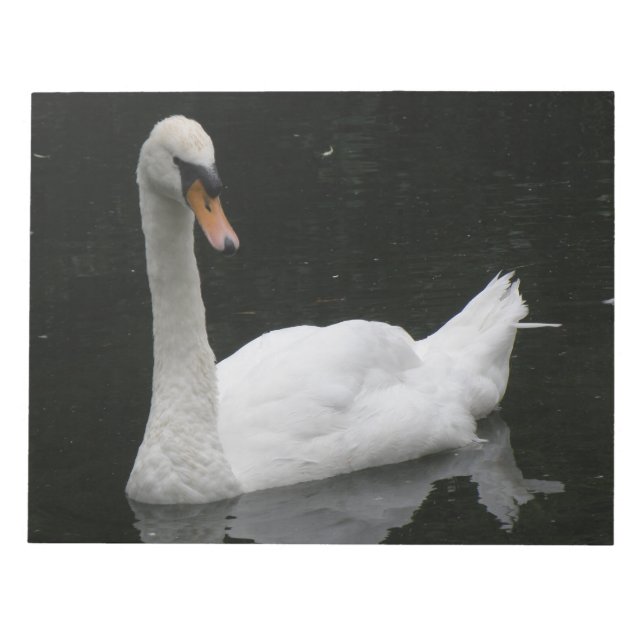 Bella Bloc de notas de cisne blanco (Frente)
