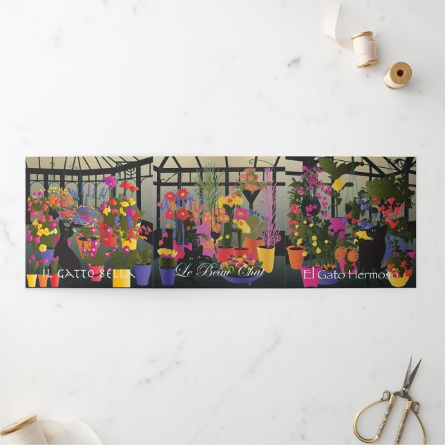 Bella Cat 4-6 Triple tarjeta (Exterior)