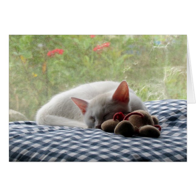 Bella durmiente (Anverso (Horizontal))