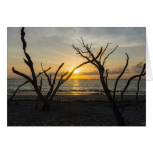 Bella locura mañana