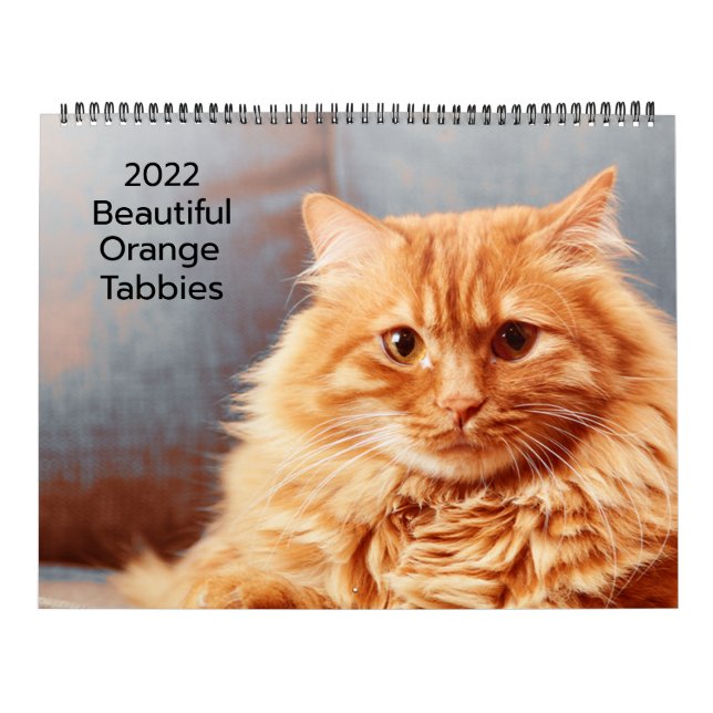 Bella Naranja Tabbies Calendario 2022 (Tapa)