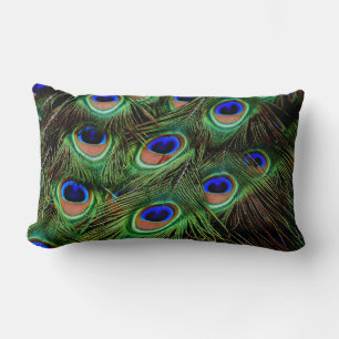 bella pluma de pavo real tira almohada