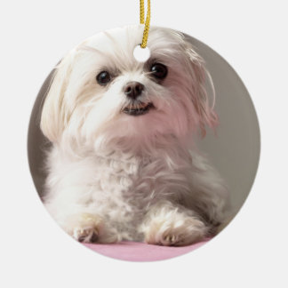 Bella, vamos a ver el adorno maltés