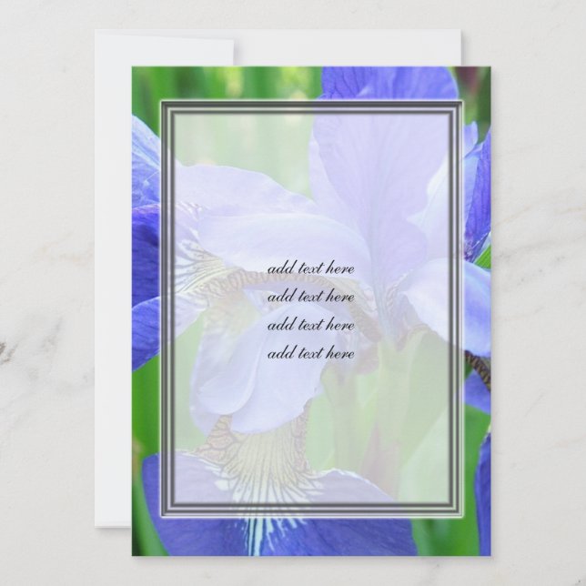 bellas flores azules de iris (Anverso)