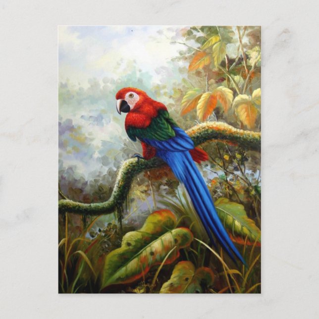 bellas postales de aves 06 (Anverso)