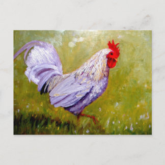 bellas postales de aves 12