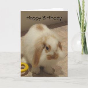 Belle La Tarjeta De Cumpleaños Del Conejo
