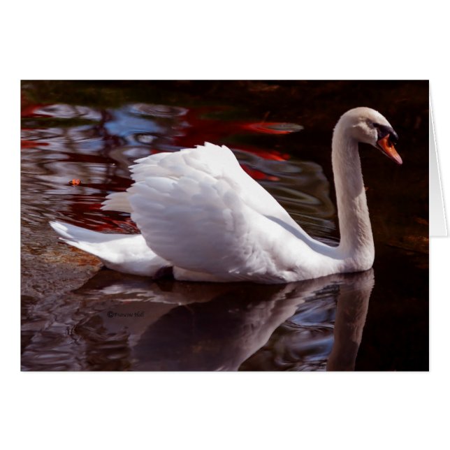 Belleza (Anverso (Horizontal))