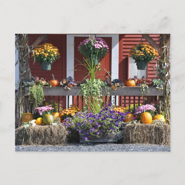 Belleza de caída de madera de Tanglewood - postal (Anverso)