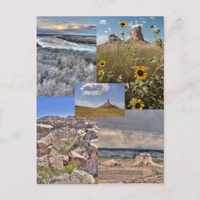 Belleza de la postal de Nebraska (Anverso)