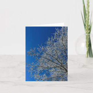 Belleza de la tarjeta de felicitación de invierno