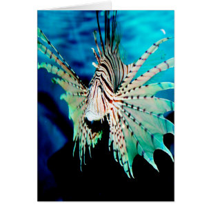 Belleza de Lionfish