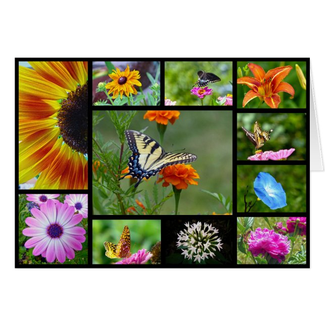 Belleza de primavera (Anverso (Horizontal))