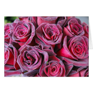 Belleza de terciopelo