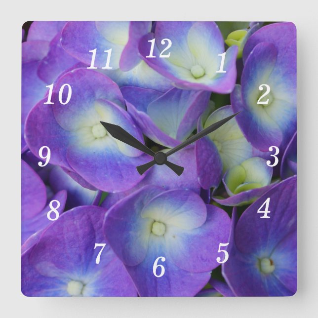 Belleza de un reloj de pared azul de Hydrangea (Anverso)