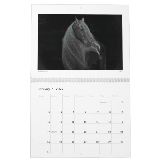 Belleza del calendario 2015 del caballo (Jan 2027)
