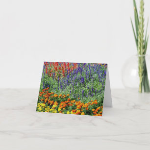 Belleza del jardín de flores arte naturaleza nota