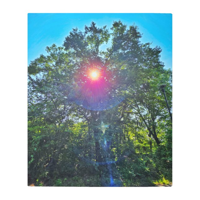 Belleza del Sol arte mural Metalizado (Anverso)