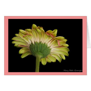 Belleza dentro y hacia fuera