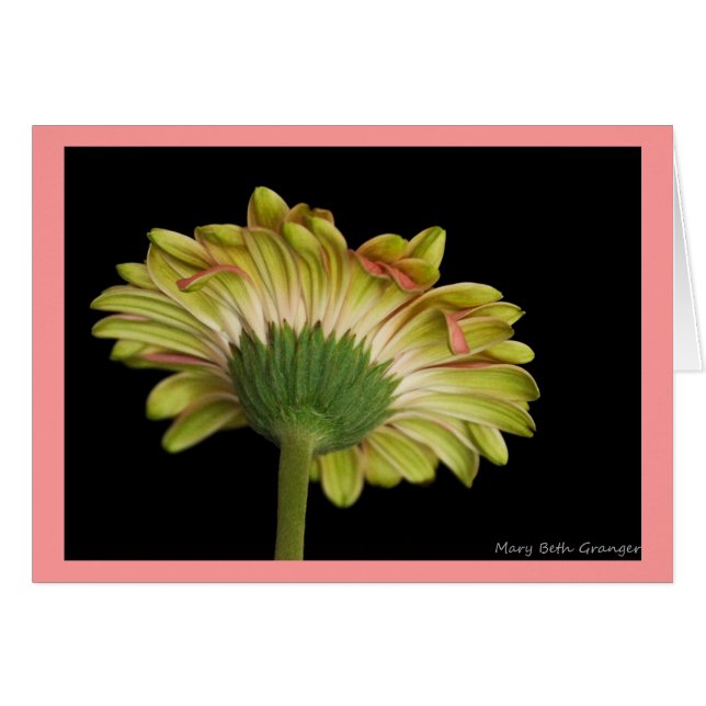 Belleza dentro y hacia fuera (Anverso (Horizontal))