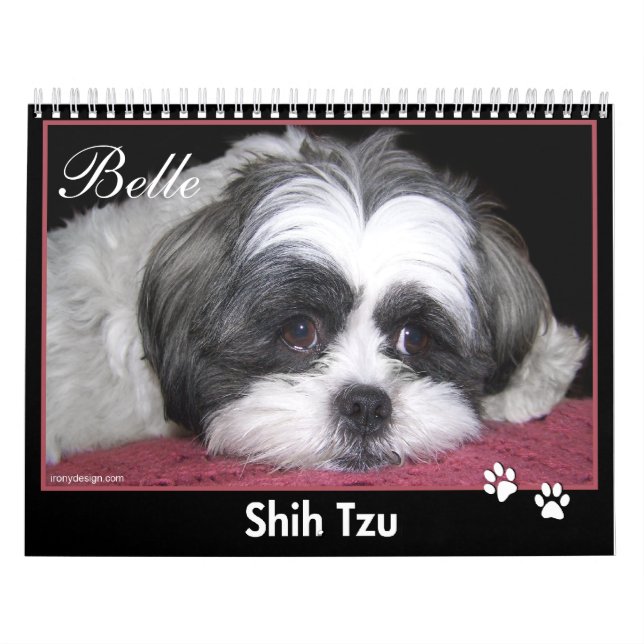 Belleza el calendario de Shih Tzu (Tapa)